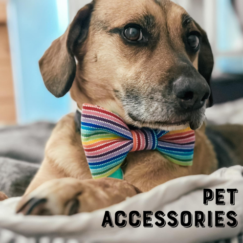 Pet Accessories